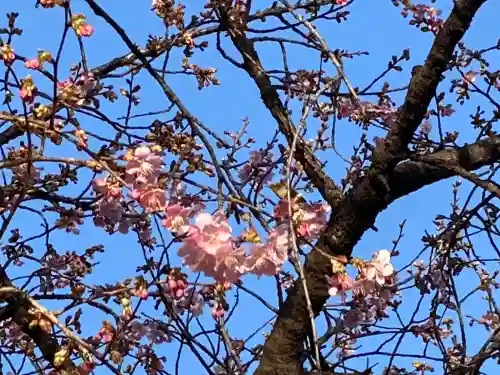 鏡神社の{uncategorized: "未分類", other: "その他", undefined: "問題あり", building: "その他建物", grave: "お墓", sacred_gate: "鳥居", guardian: "狛犬", statue: "像", buddha: "仏像", history: "歴史", nature: "自然", garden: "庭園", animal: "動物", pagoda: "塔", temizu: "手水舎", mountain_gate: "山門・神門", sanctuary: "本殿・本堂", subordinate: "末社・摂社", art: "芸術", scenery: "景色", jizo: "地蔵", ema: "絵馬", goshuin: "御朱印", omikuji: "おみくじ", items: "授与品その他", amulet: "お守り", goshuincho: "御朱印帳", eats: "食事", festival: "お祭り", votive_dance: "神楽", shichigosan: "七五三参", wedding: "結婚式", experience: "体験その他", initially: "初詣", around: "周辺", anti_infection: "感染症対策"}