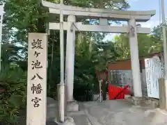 蝮ヶ池八幡宮の鳥居