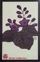 元郷氷川神社(埼玉県)