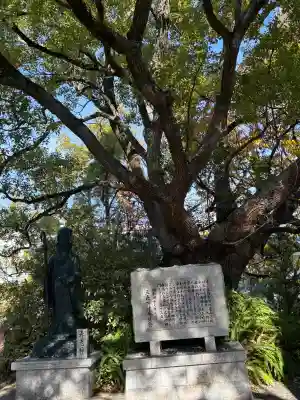 真田山 三光神社の{uncategorized: "未分類", other: "その他", undefined: "問題あり", building: "その他建物", grave: "お墓", sacred_gate: "鳥居", guardian: "狛犬", statue: "像", buddha: "仏像", history: "歴史", nature: "自然", garden: "庭園", animal: "動物", pagoda: "塔", temizu: "手水舎", mountain_gate: "山門・神門", sanctuary: "本殿・本堂", subordinate: "末社・摂社", art: "芸術", scenery: "景色", jizo: "地蔵", ema: "絵馬", goshuin: "御朱印", omikuji: "おみくじ", items: "授与品その他", amulet: "お守り", goshuincho: "御朱印帳", eats: "食事", festival: "お祭り", votive_dance: "神楽", shichigosan: "七五三参", wedding: "結婚式", experience: "体験その他", initially: "初詣", around: "周辺", anti_infection: "感染症対策"}