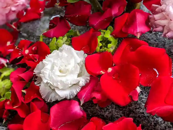 三津厳島神社の手水舎