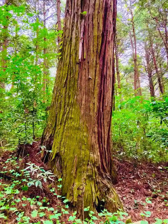 鹿島神社(茨城県)