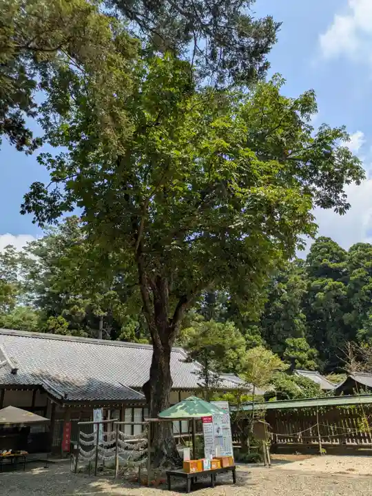 小御門神社(千葉県)