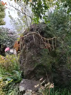 正覚院(東京都)