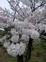 愛宕神社の{uncategorized: "未分類", other: "その他", undefined: "問題あり", building: "その他建物", grave: "お墓", sacred_gate: "鳥居", guardian: "狛犬", statue: "像", buddha: "仏像", history: "歴史", nature: "自然", garden: "庭園", animal: "動物", pagoda: "塔", temizu: "手水舎", mountain_gate: "山門・神門", sanctuary: "本殿・本堂", subordinate: "末社・摂社", art: "芸術", scenery: "景色", jizo: "地蔵", ema: "絵馬", goshuin: "御朱印", omikuji: "おみくじ", items: "授与品その他", amulet: "お守り", goshuincho: "御朱印帳", eats: "食事", festival: "お祭り", votive_dance: "神楽", shichigosan: "七五三参", wedding: "結婚式", experience: "体験その他", initially: "初詣", around: "周辺", anti_infection: "感染症対策"}