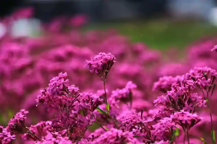 高司神社〜むすびの神の鎮まる社〜の周辺