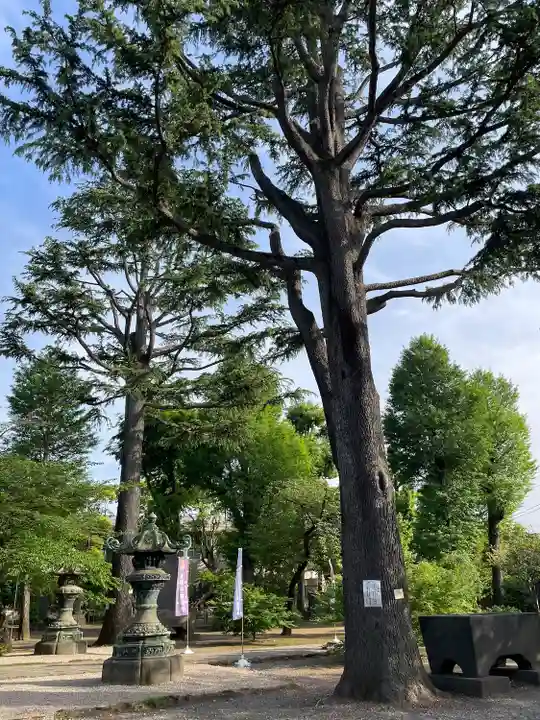 寛永寺(根本中堂)(東京都)