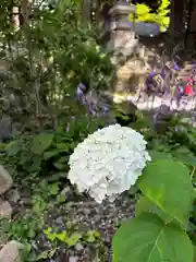 山家神社(長野県)