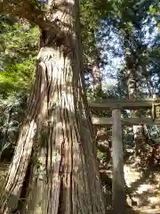 北野神社の建物その他