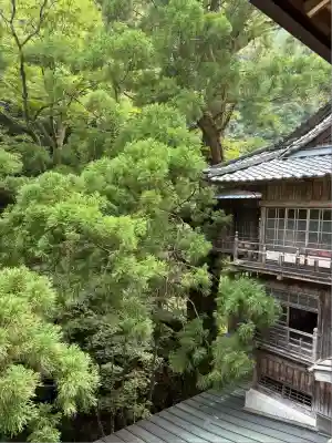 仙龍寺(愛媛県)