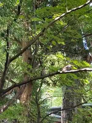子安神社(東京都)