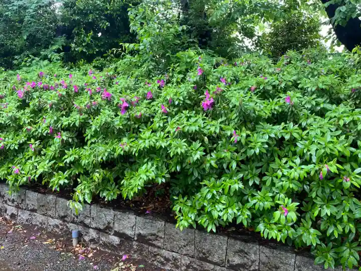 前原御嶽神社(千葉県)