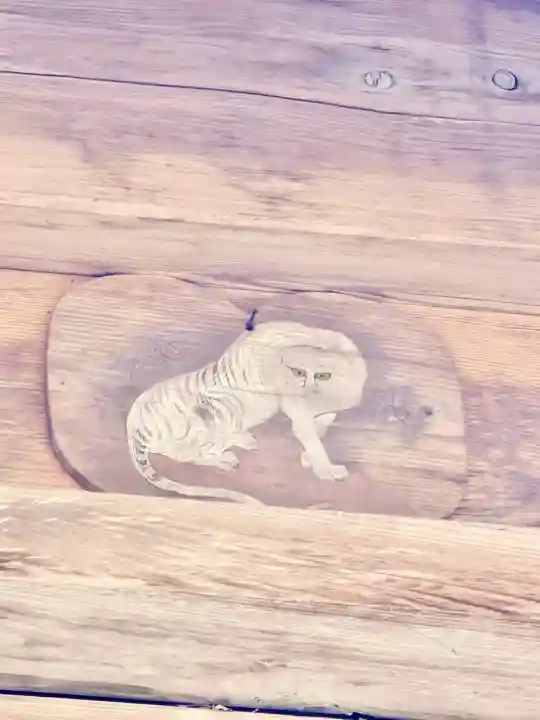 熊野神社の{uncategorized: "未分類", other: "その他", undefined: "問題あり", building: "その他建物", grave: "お墓", sacred_gate: "鳥居", guardian: "狛犬", statue: "像", buddha: "仏像", history: "歴史", nature: "自然", garden: "庭園", animal: "動物", pagoda: "塔", temizu: "手水舎", mountain_gate: "山門・神門", sanctuary: "本殿・本堂", subordinate: "末社・摂社", art: "芸術", scenery: "景色", jizo: "地蔵", ema: "絵馬", goshuin: "御朱印", omikuji: "おみくじ", items: "授与品その他", amulet: "お守り", goshuincho: "御朱印帳", eats: "食事", festival: "お祭り", votive_dance: "神楽", shichigosan: "七五三参", wedding: "結婚式", experience: "体験その他", initially: "初詣", around: "周辺", anti_infection: "感染症対策"}