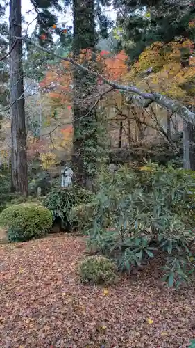 三千院門跡(京都府)