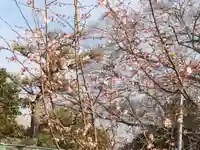 津島神社の自然