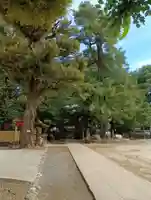 駒込富士神社(東京都)