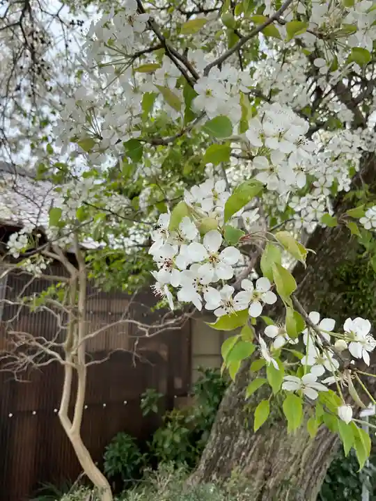 比良賀神社(愛知県)