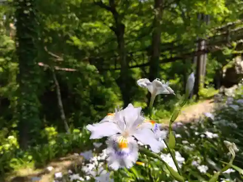 白山神社(福井県)