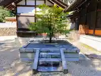 八劔社(野並)の自然