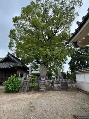 岳桂院(愛知県)