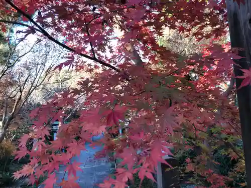 石薬師寺の自然