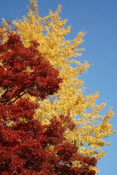 智積院(京都府)