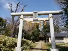 日枝神社の鳥居