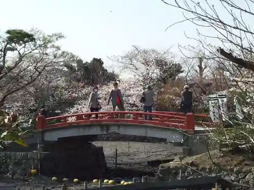 鶴岡八幡宮の庭園