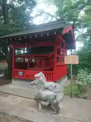 白岡八幡神社の狛犬