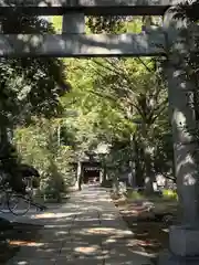 赤坂氷川神社(東京都)