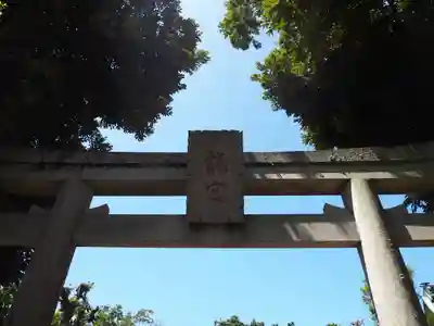 江島神社の鳥居