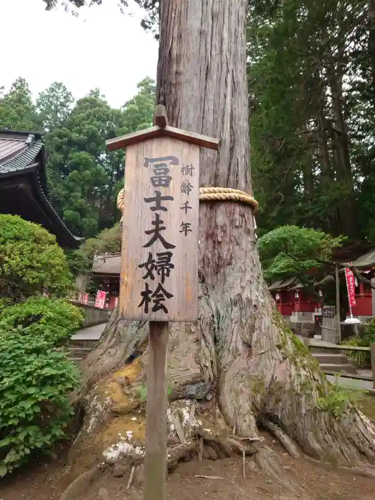 北口本宮冨士浅間神社(山梨県)