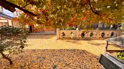 正法寺(京都府)