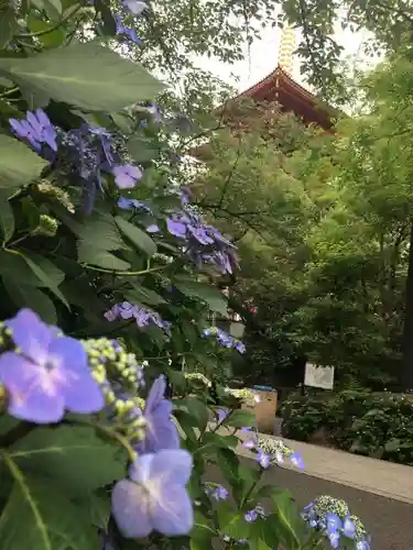 高幡不動尊　金剛寺のその他建物