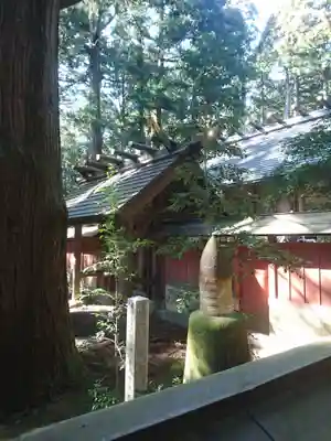 赤城神社(三夜沢町)(群馬県)