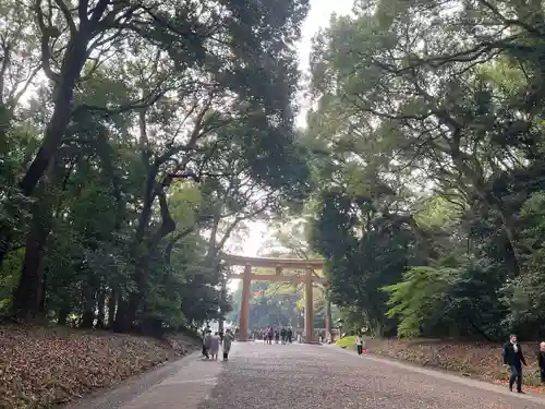 明治神宮(東京都)