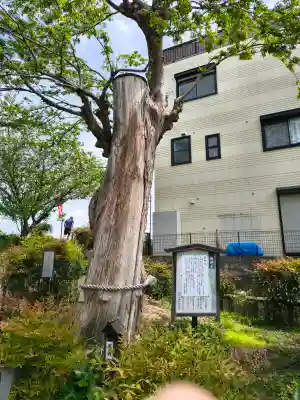 阿久刀神社の{uncategorized: "未分類", other: "その他", undefined: "問題あり", building: "その他建物", grave: "お墓", sacred_gate: "鳥居", guardian: "狛犬", statue: "像", buddha: "仏像", history: "歴史", nature: "自然", garden: "庭園", animal: "動物", pagoda: "塔", temizu: "手水舎", mountain_gate: "山門・神門", sanctuary: "本殿・本堂", subordinate: "末社・摂社", art: "芸術", scenery: "景色", jizo: "地蔵", ema: "絵馬", goshuin: "御朱印", omikuji: "おみくじ", items: "授与品その他", amulet: "お守り", goshuincho: "御朱印帳", eats: "食事", festival: "お祭り", votive_dance: "神楽", shichigosan: "七五三参", wedding: "結婚式", experience: "体験その他", initially: "初詣", around: "周辺", anti_infection: "感染症対策"}
