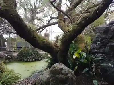 石手寺(愛媛県)