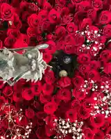 札幌諏訪神社の手水舎