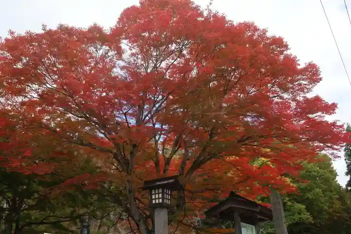 土津神社|こどもと出世の神さまの自然