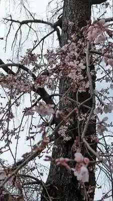 満願寺(京都府)