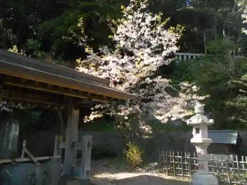 甘縄神明神社（甘縄神明宮）の景色