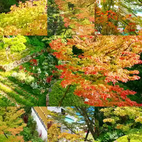 寿量山　速成寺の自然