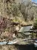 大福寺(室田の瀧不動尊)の{uncategorized: "未分類", other: "その他", undefined: "問題あり", building: "その他建物", grave: "お墓", sacred_gate: "鳥居", guardian: "狛犬", statue: "像", buddha: "仏像", history: "歴史", nature: "自然", garden: "庭園", animal: "動物", pagoda: "塔", temizu: "手水舎", mountain_gate: "山門・神門", sanctuary: "本殿・本堂", subordinate: "末社・摂社", art: "芸術", scenery: "景色", jizo: "地蔵", ema: "絵馬", goshuin: "御朱印", omikuji: "おみくじ", items: "授与品その他", amulet: "お守り", goshuincho: "御朱印帳", eats: "食事", festival: "お祭り", votive_dance: "神楽", shichigosan: "七五三参", wedding: "結婚式", experience: "体験その他", initially: "初詣", around: "周辺", anti_infection: "感染症対策"}
