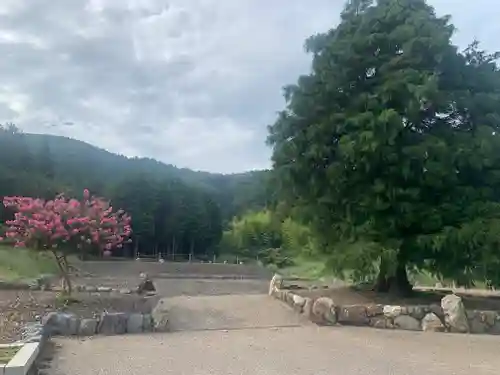 妙光寺跡の景色