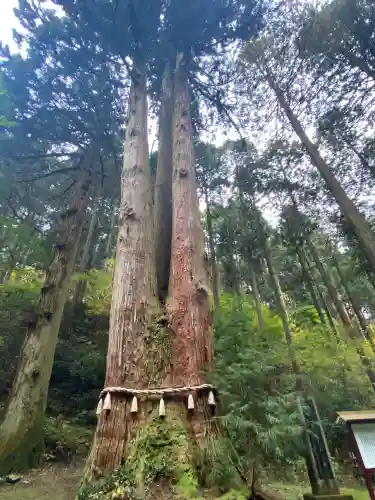 御岩神社(茨城県)