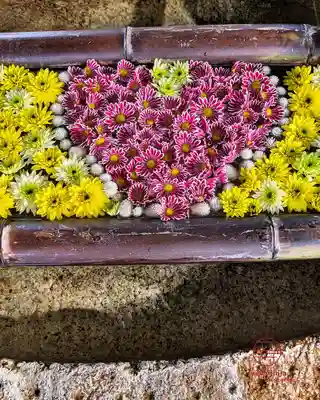 立志神社(滋賀県)