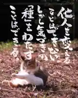 専念寺(大阪府)