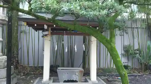 別雷神社の手水