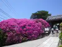安養院 (田代寺)の周辺
